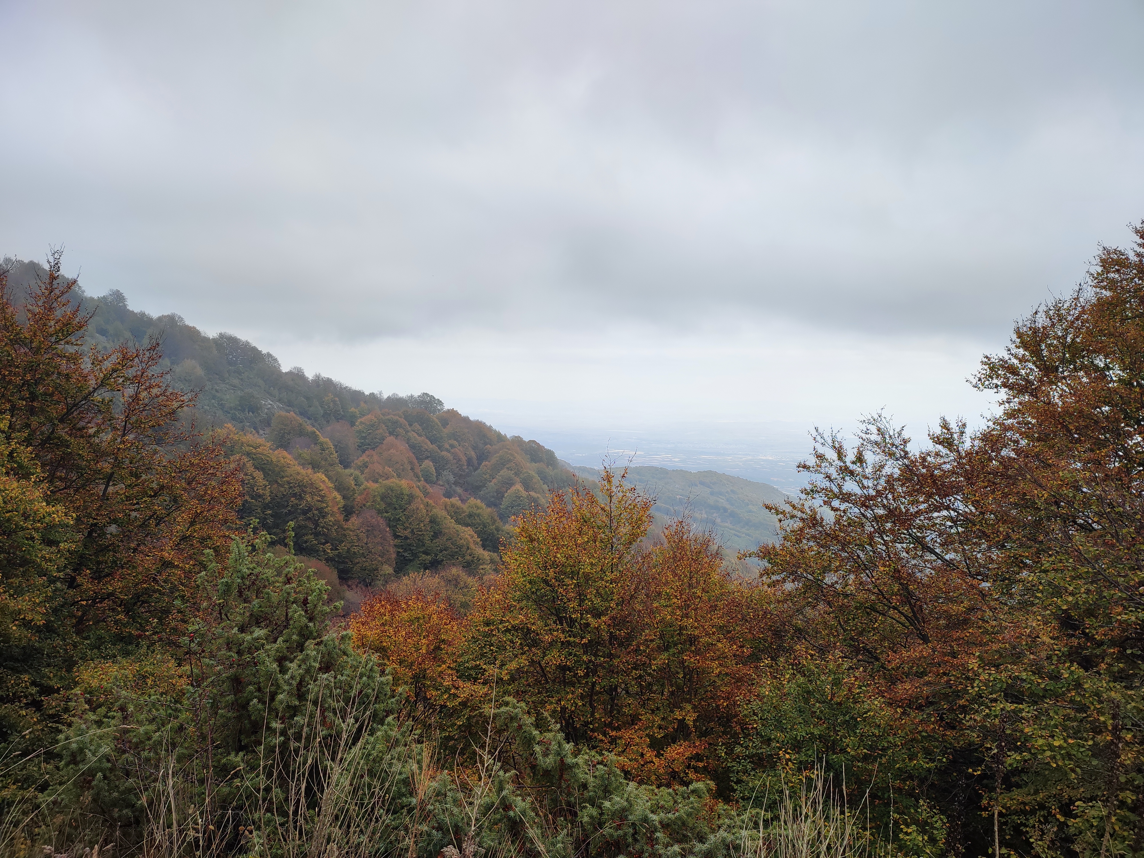 Gola Tsouka View